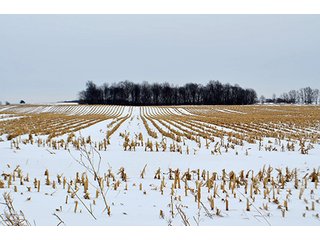 Property photo 34 - AUCTION, 206 Contiguous Acres offered in 5 Tracts